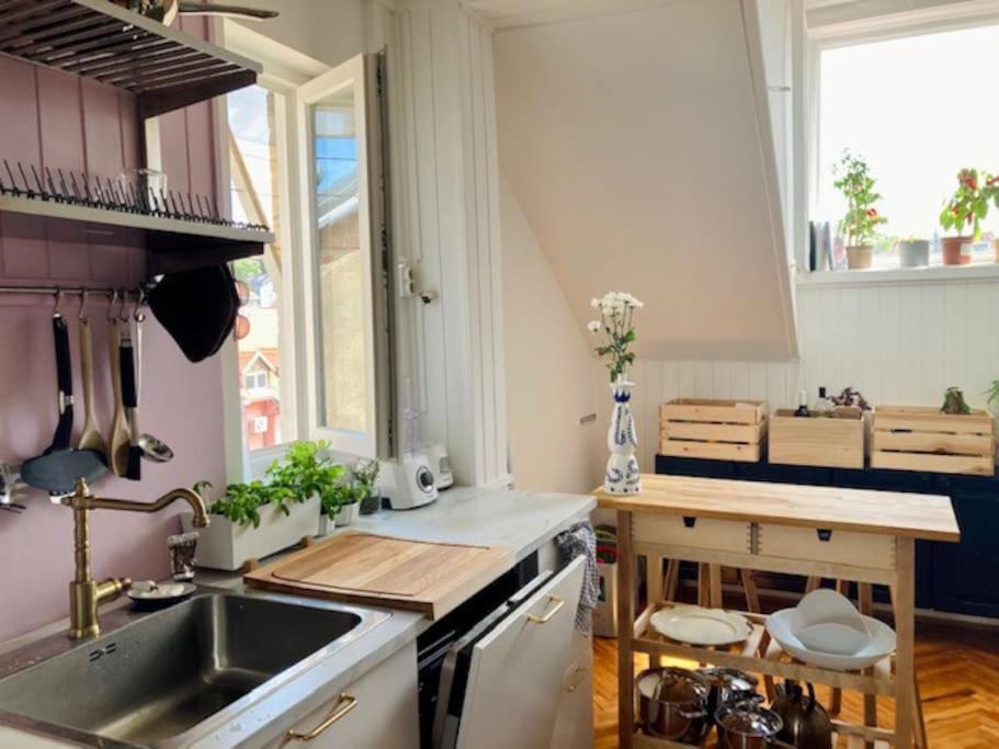 Big, Bright Apartment In The Center Of Zagreb Exterior foto